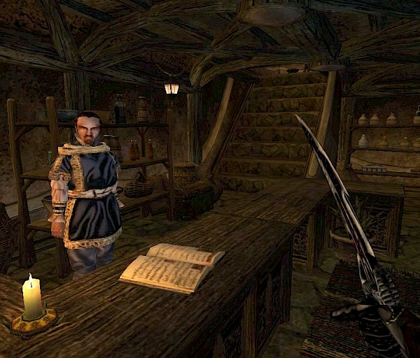 Elder Scrolls III: Morrowind – Hanki elämä